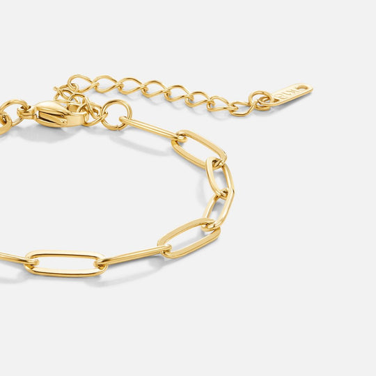 Bracelet en Or avec Trombone